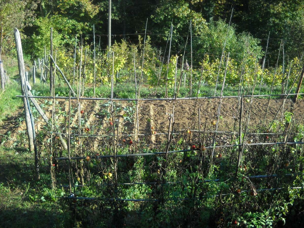 Mamma Chica Farm stay